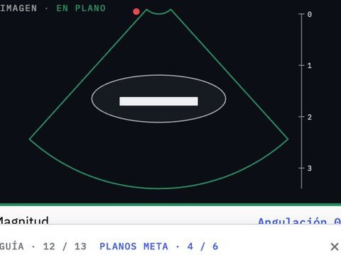 Imagen en plano, con borde verde